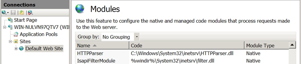 Installed RGDoor module displayed in the HTTP Modules list in IIS Manger